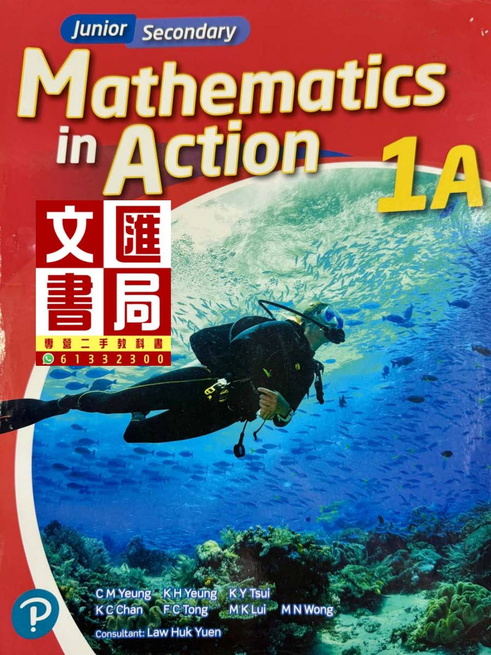 Mathematics in Action 1A